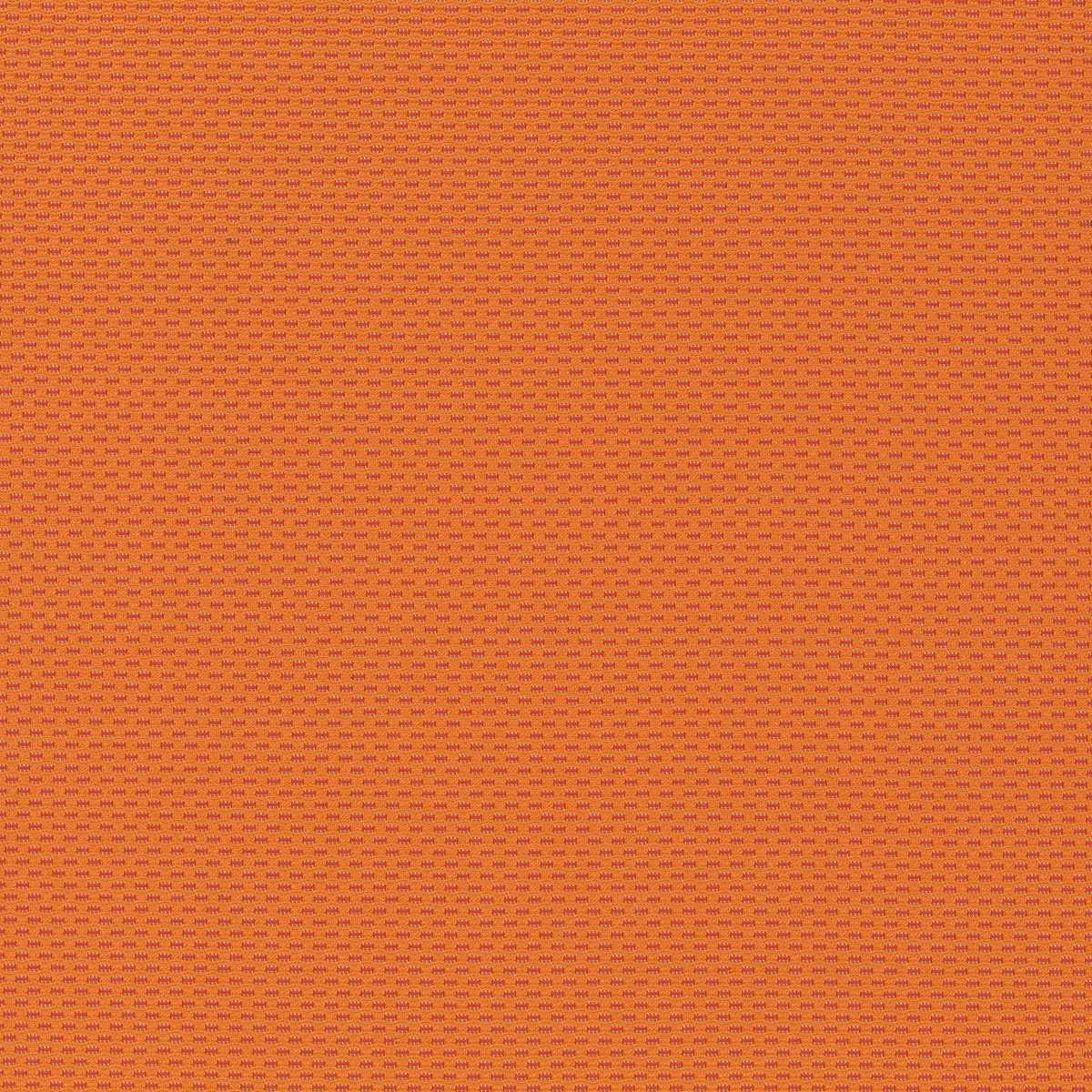 Nano CX1063-061