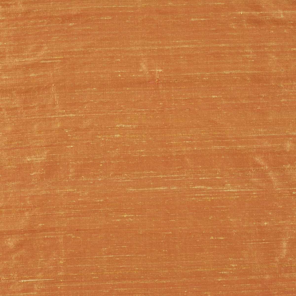 Pisano Vol. 2 1-6833-061