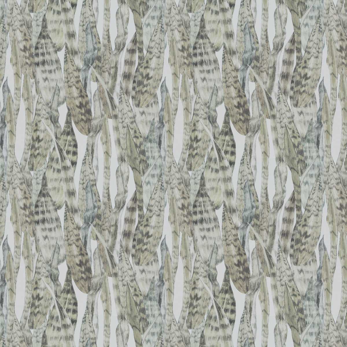 Tropical Secrets JA8039-031