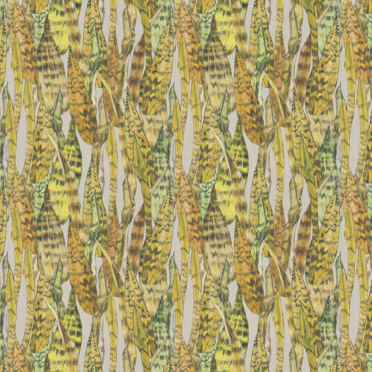 Tropical Secrets JA8039-040