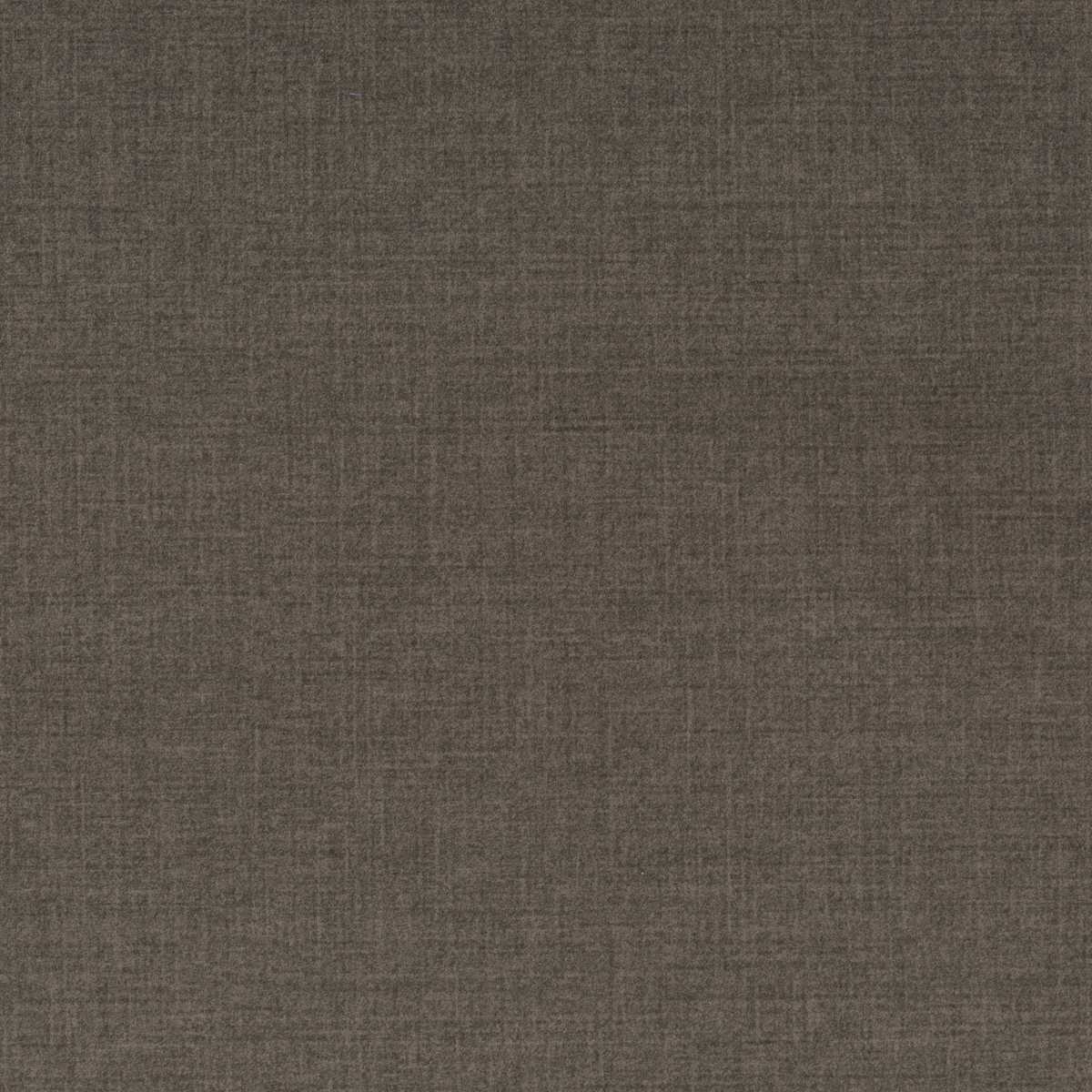 Velvety JA3010-020
