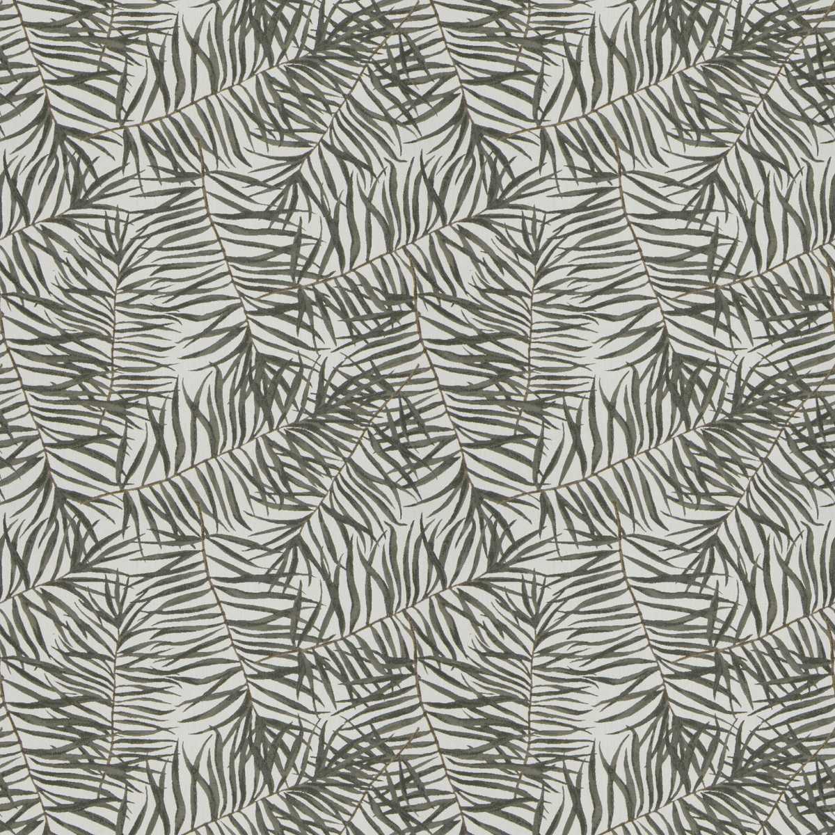Willow JA2074-020