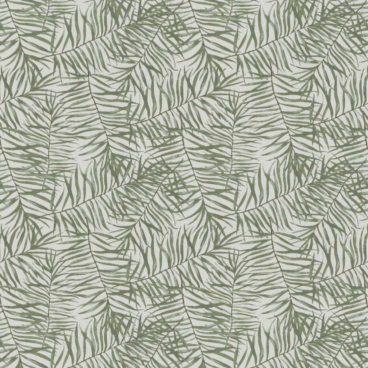 Willow JA2074-030