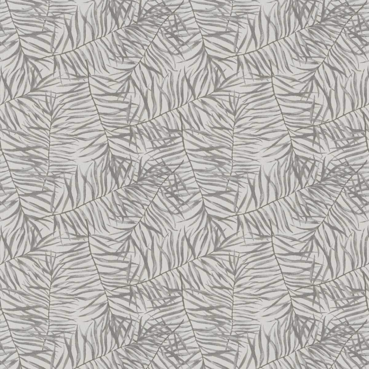 Willow JA2074-091