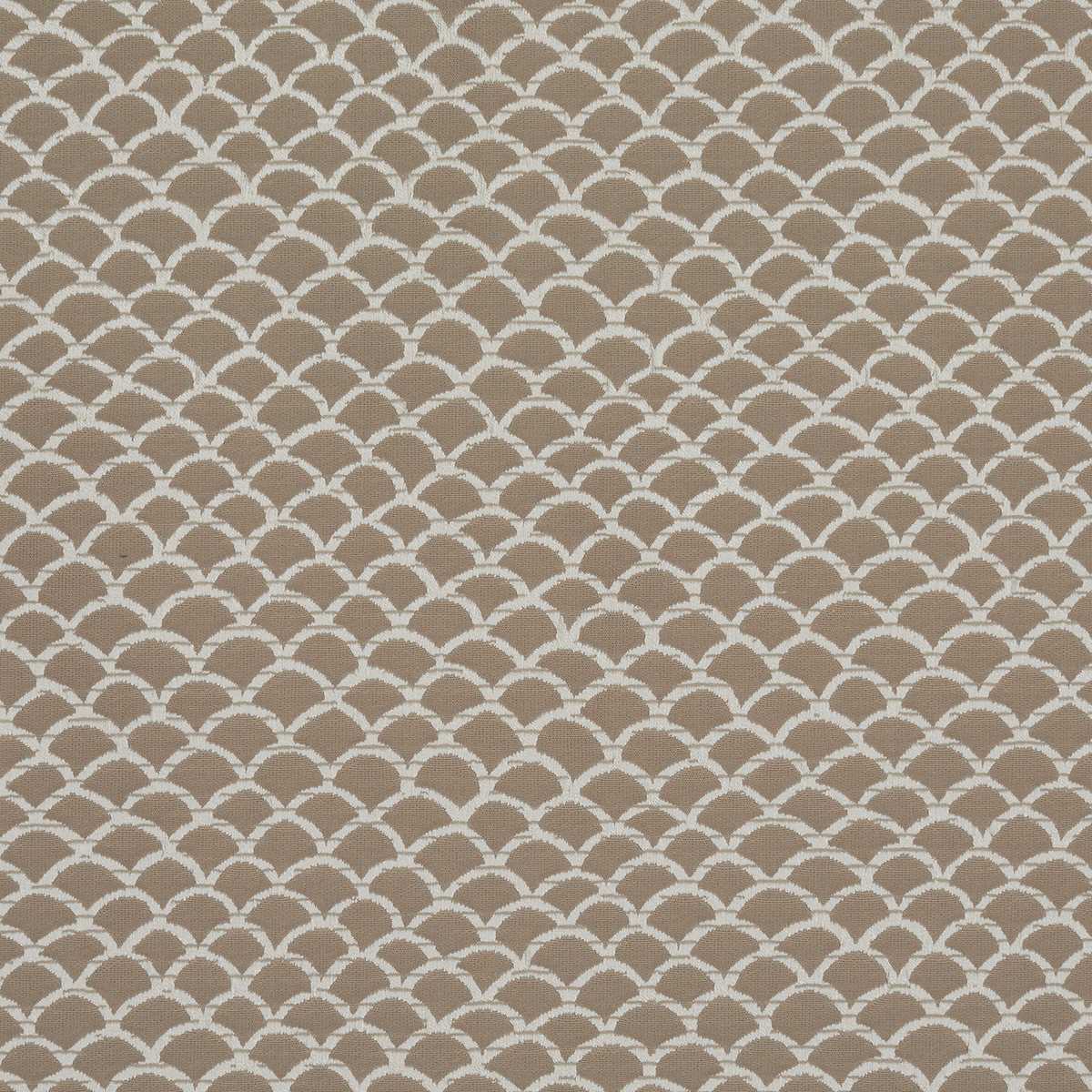Arbour 31655-01