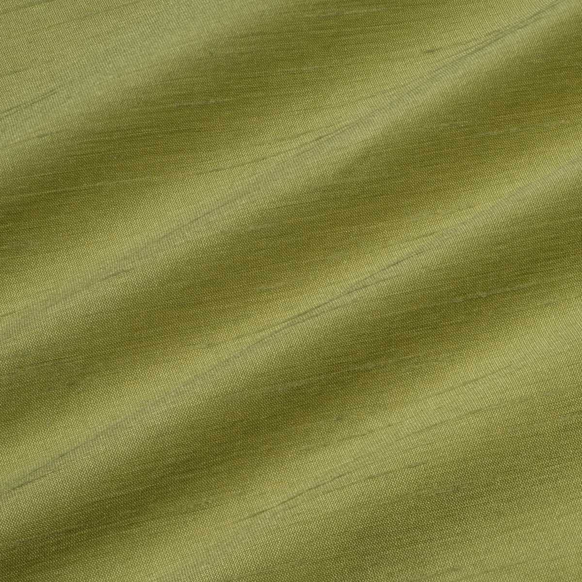 Astor 31554-81