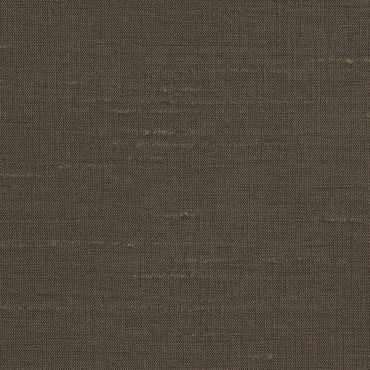 Astor 31554WC-13