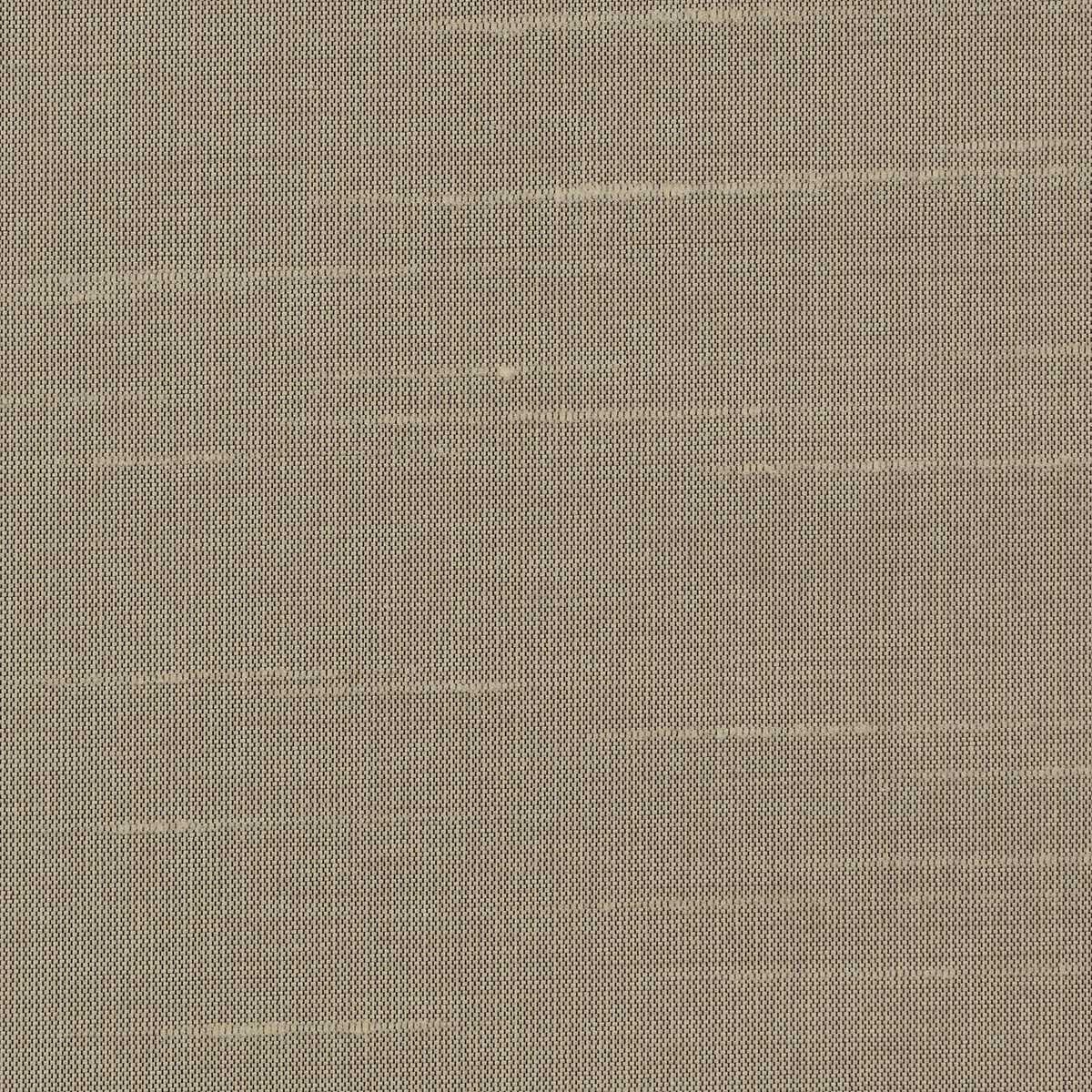 Astor 31554WC-14