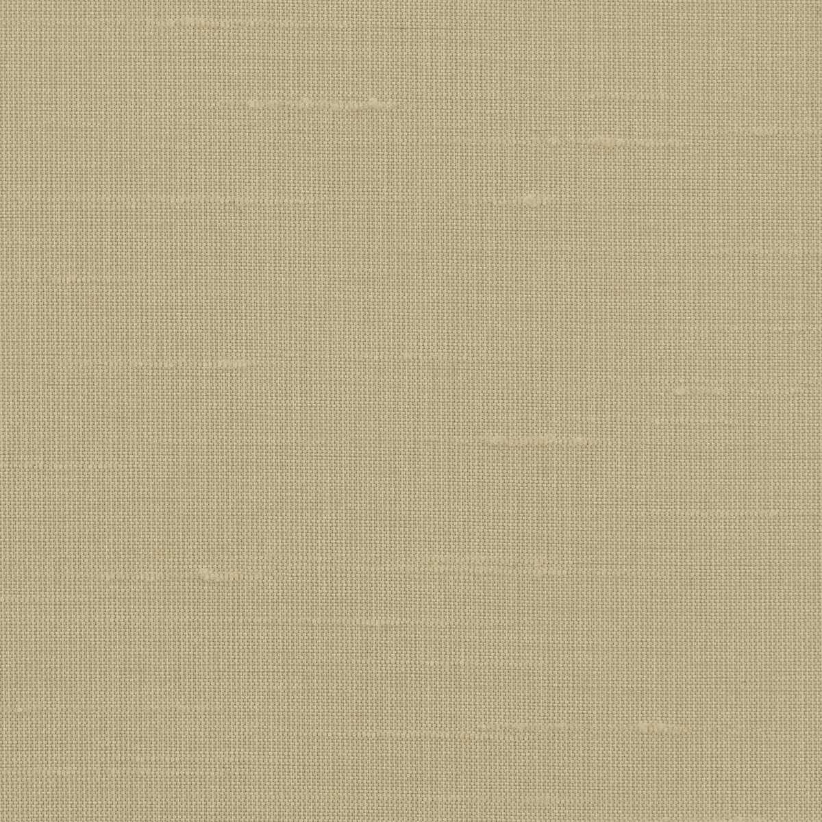 Astor 31554WC-17