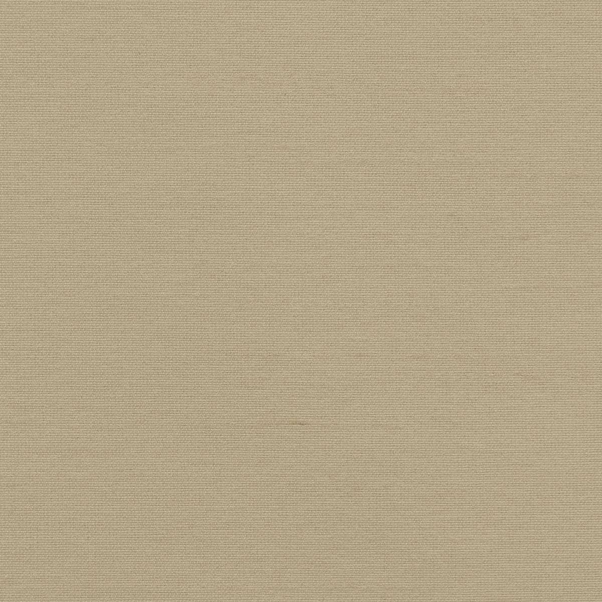 Astor 31554WC-18
