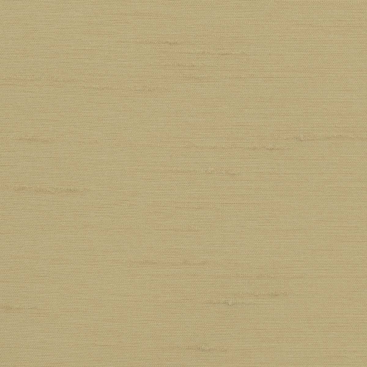 Astor 31554WC-20