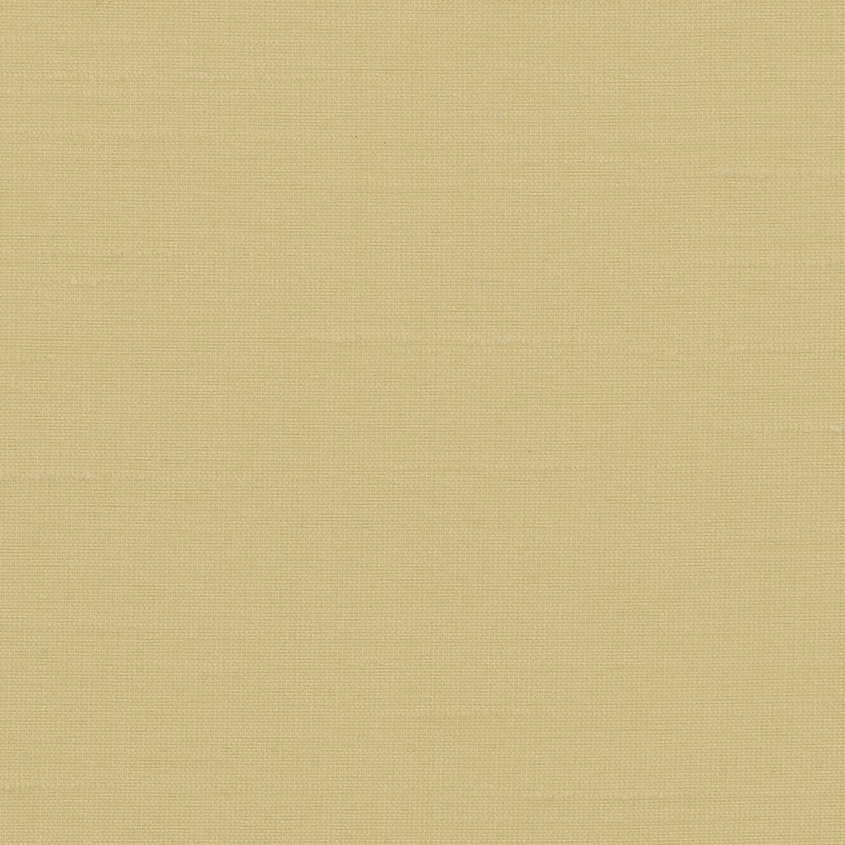 Astor 31554WC-21
