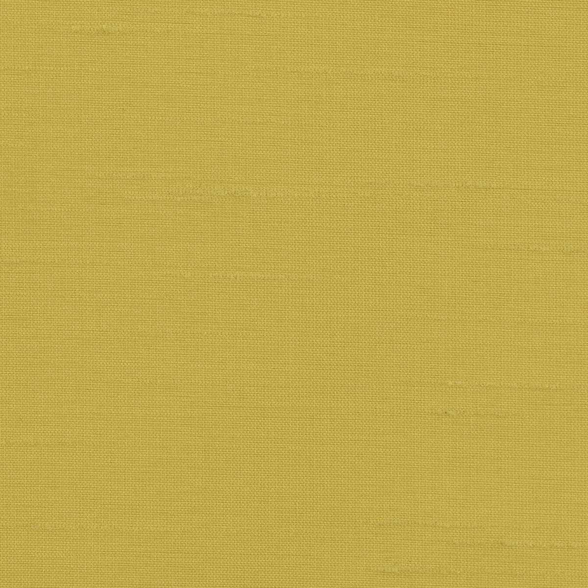 Astor 31554WC-22