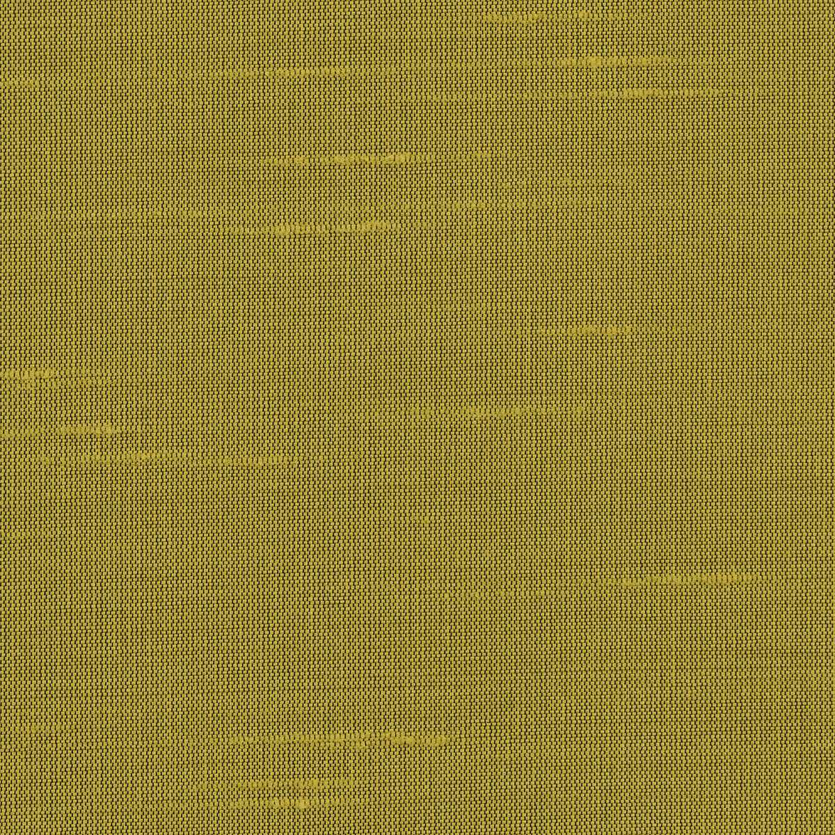 Astor 31554WC-23