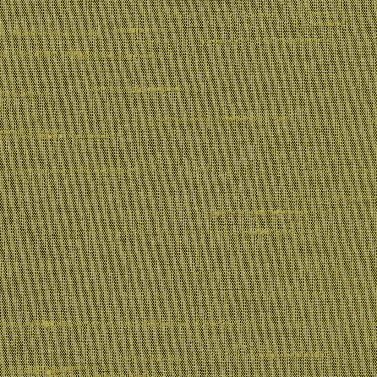 Astor 31554WC-24