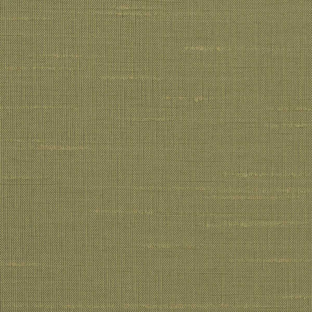 Astor 31554WC-25