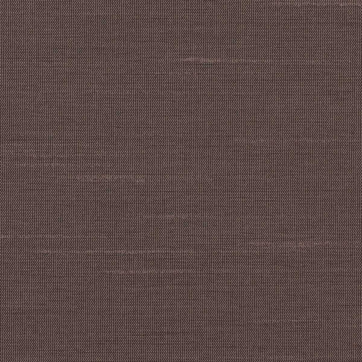 Astor 31554WC-42