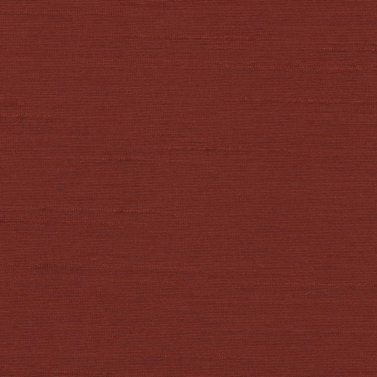 Astor 31554WC-49
