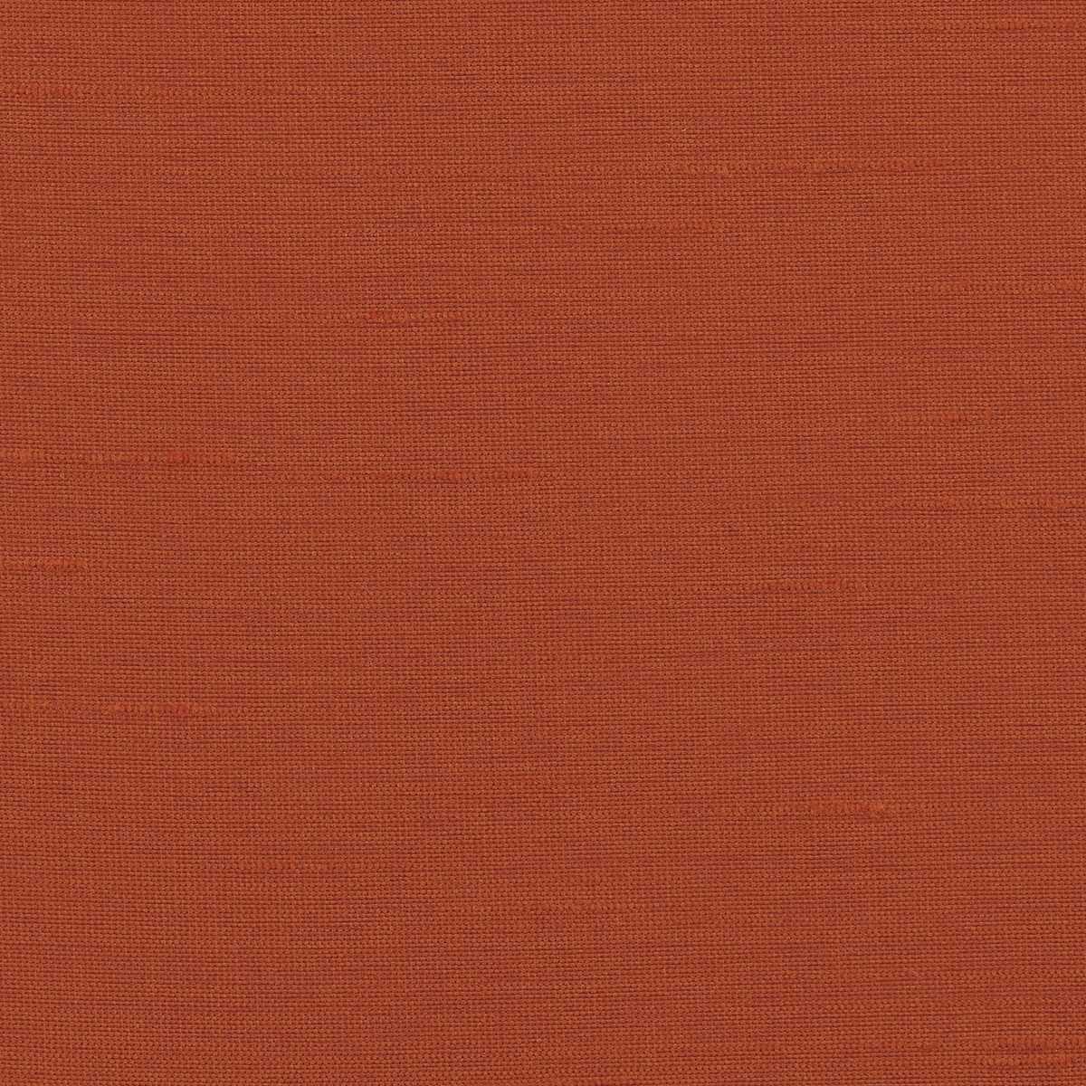 Astor 31554WC-50