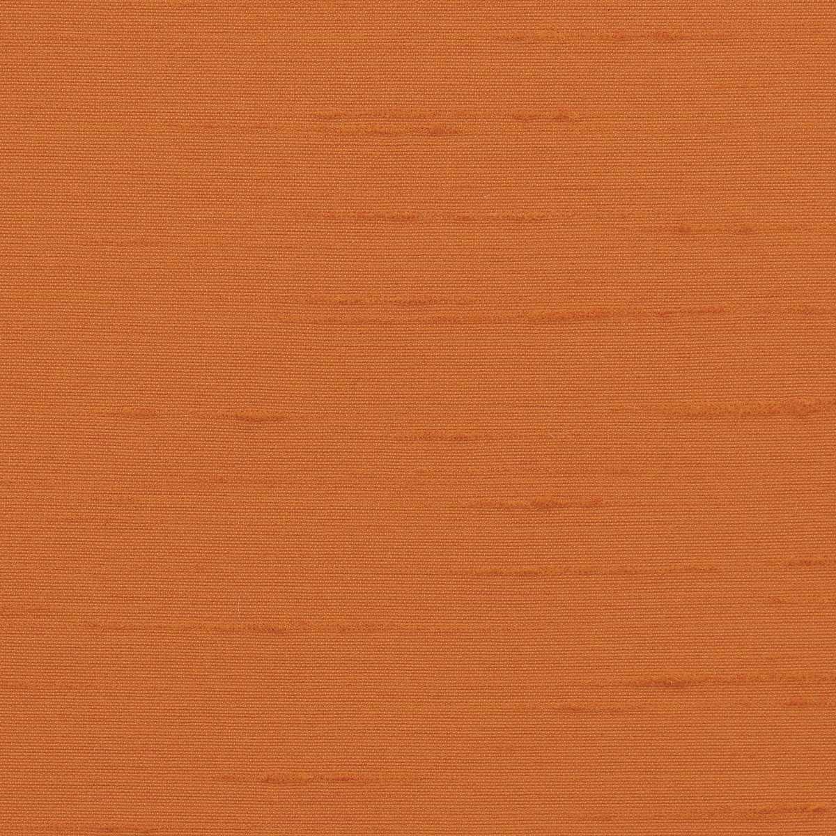 Astor 31554WC-51
