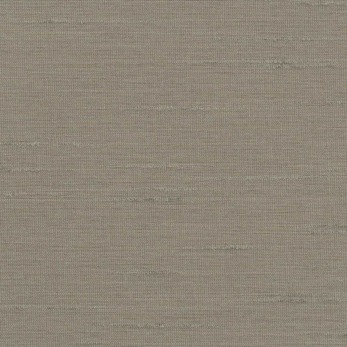 Astor 31554WC-63
