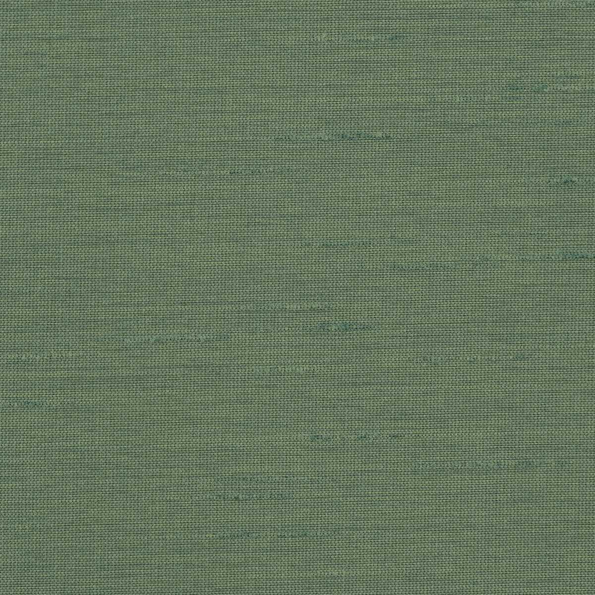 Astor 31554WC-77