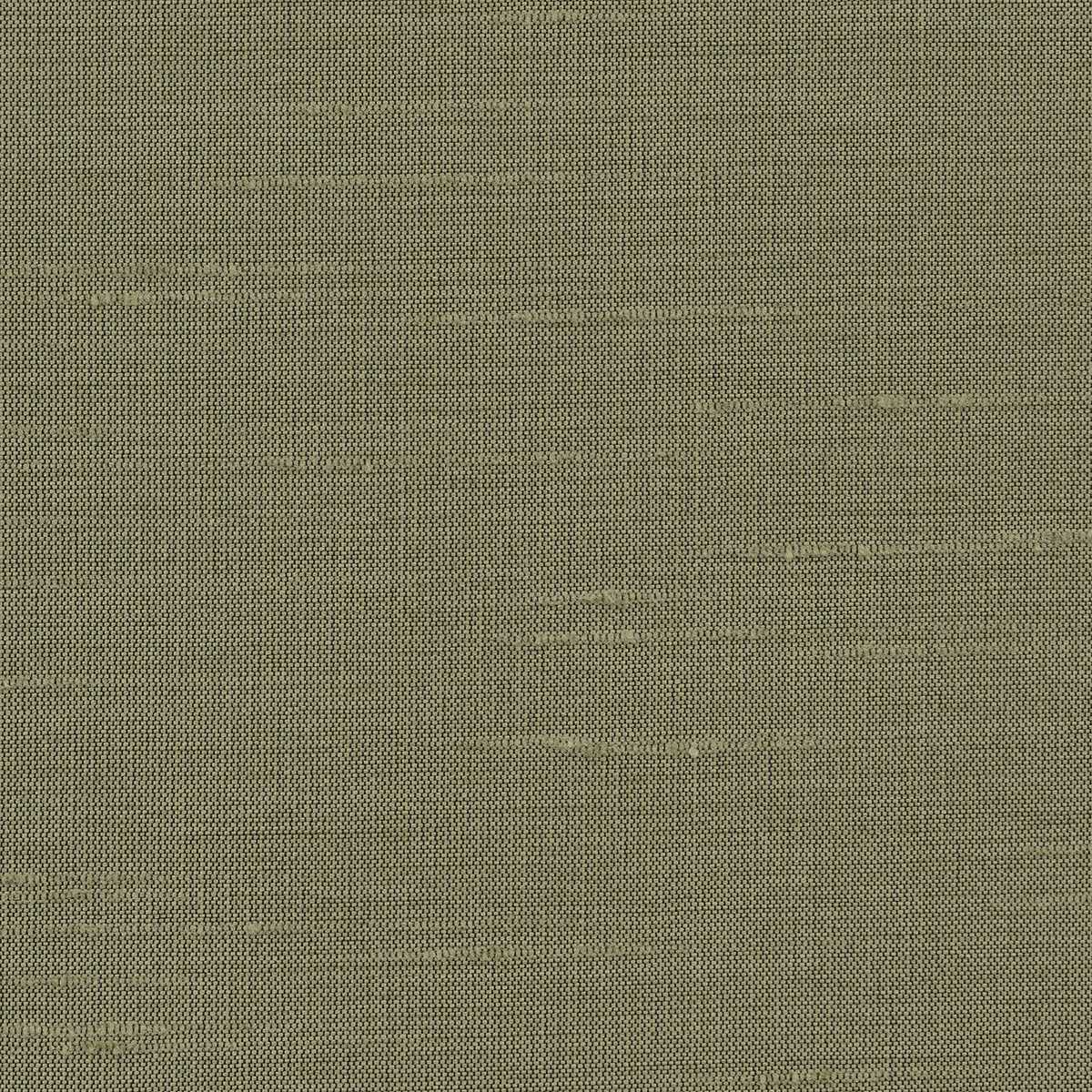 Astor 31554WC-79