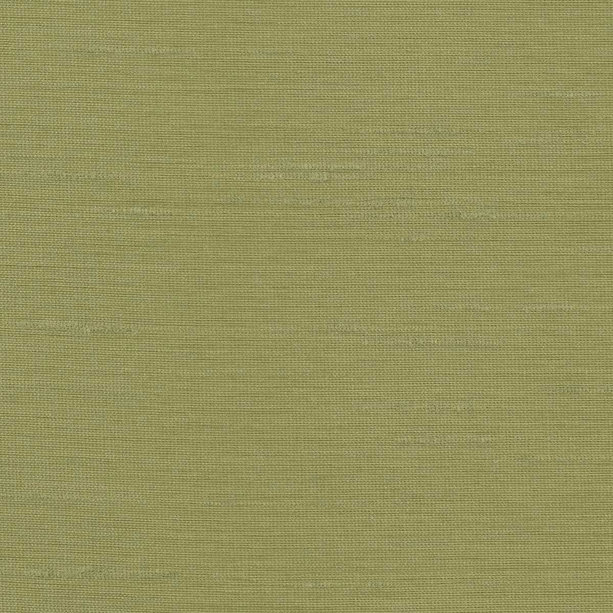 Astor 31554WC-81