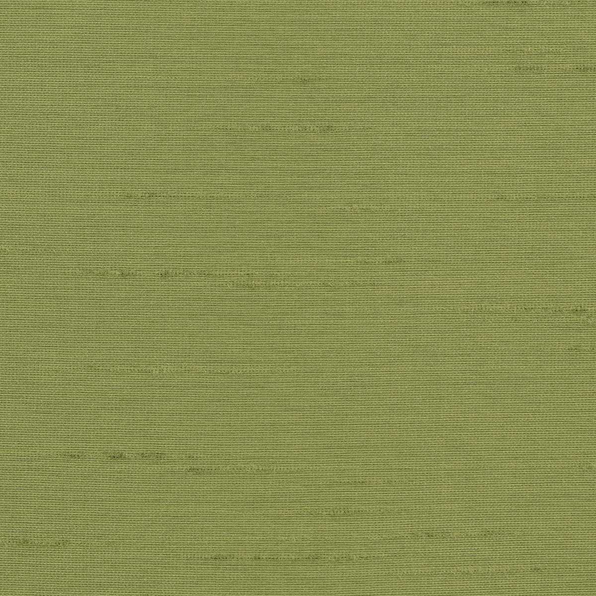 Astor 31554WC-82