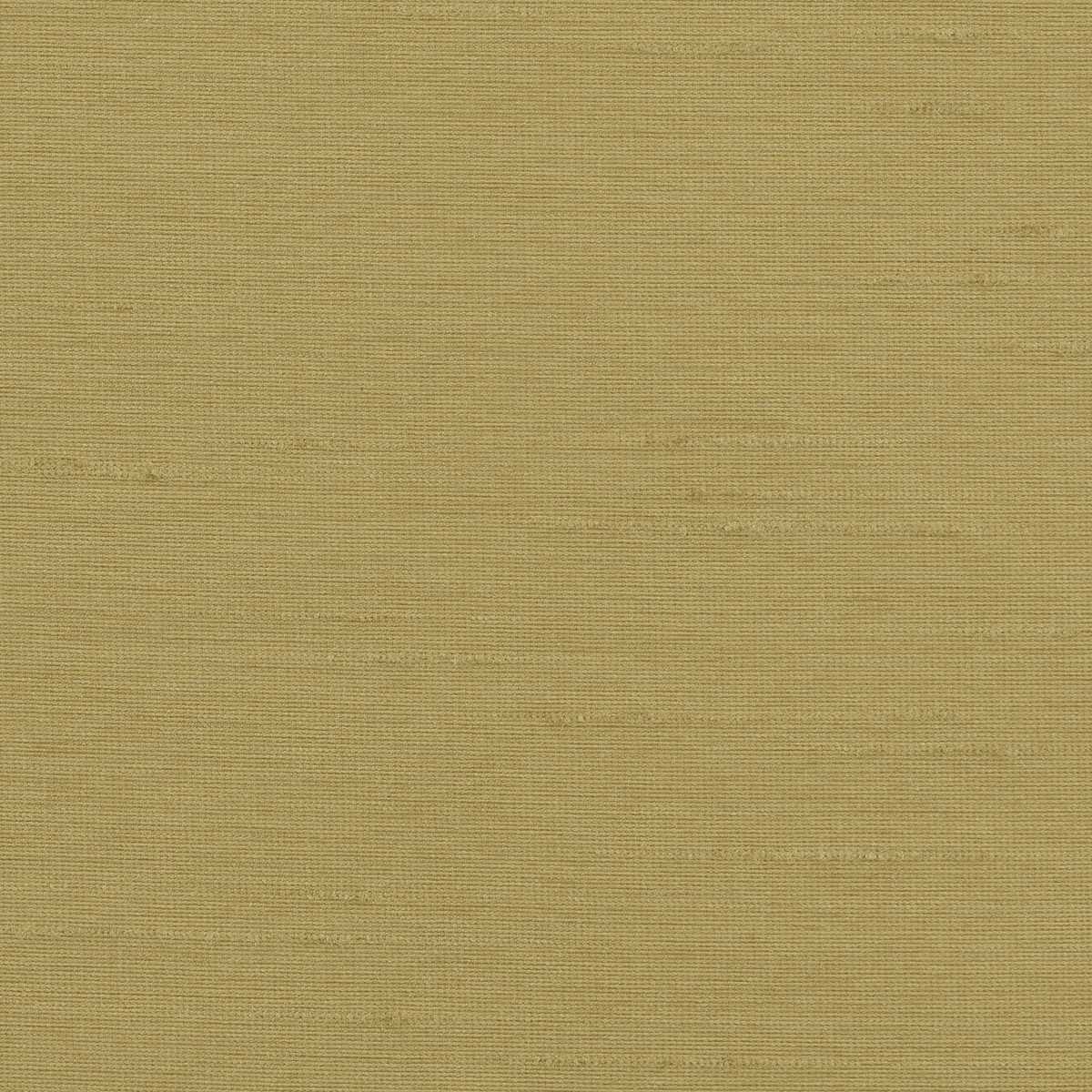 Astor 31554WC-83