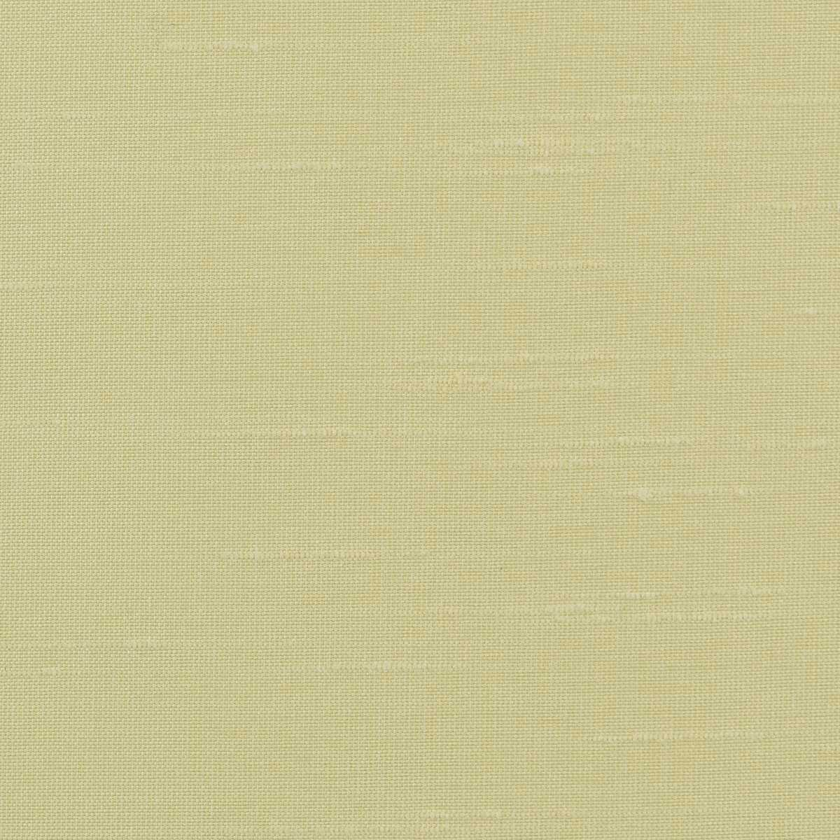 Astor 31554WC-84