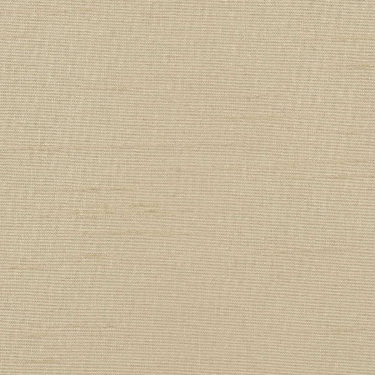 Astor 31554WC-88