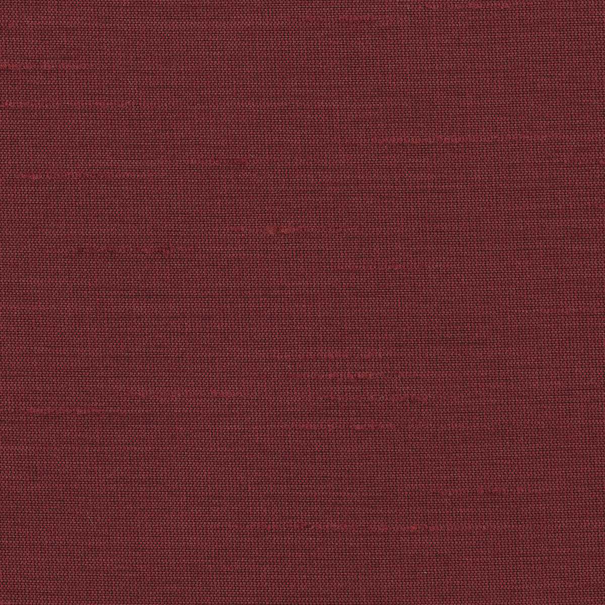 Astor 31554WC-95