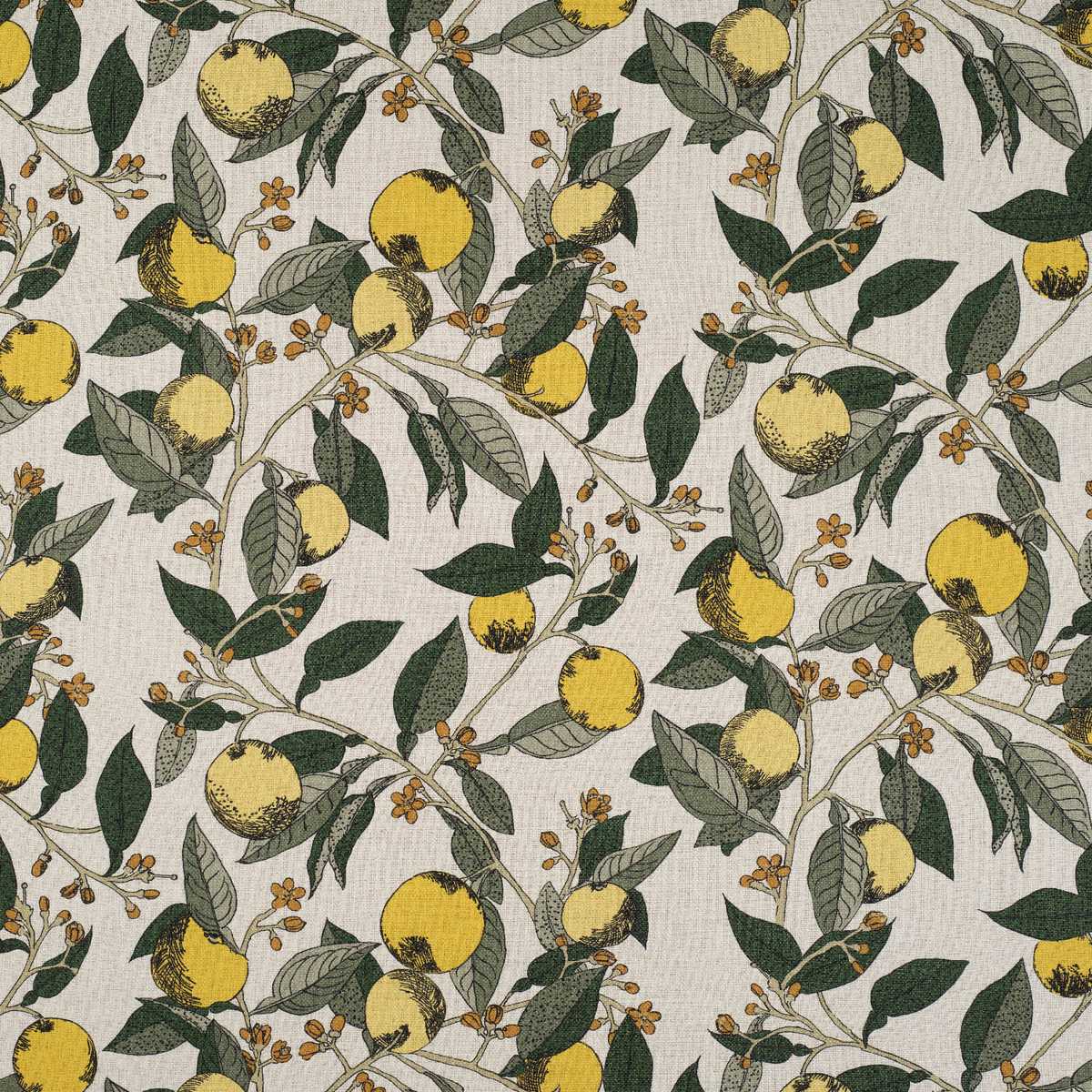 Orange Grove 8341-01