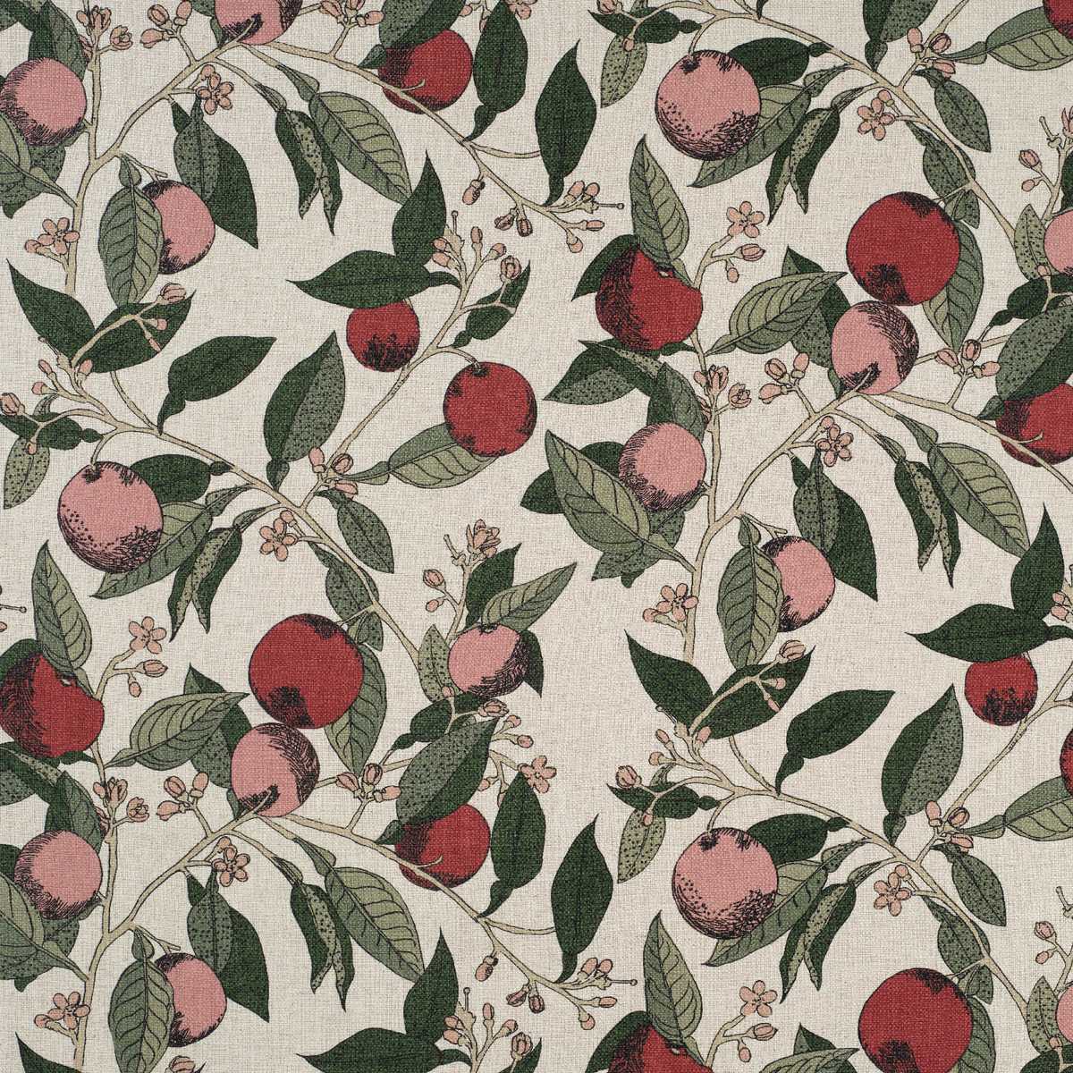 Orange Grove 8341-03