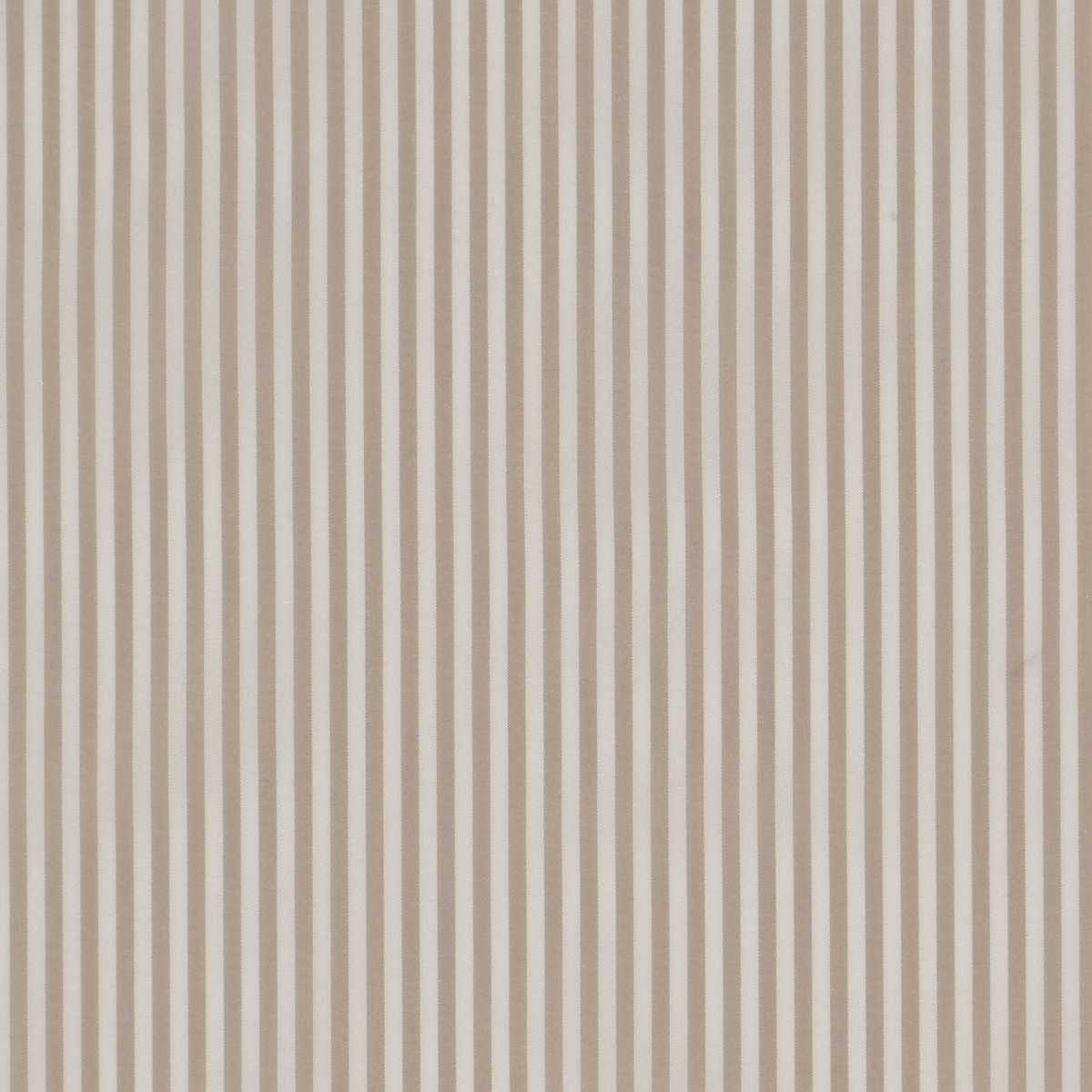 Pinstripe 31673-02