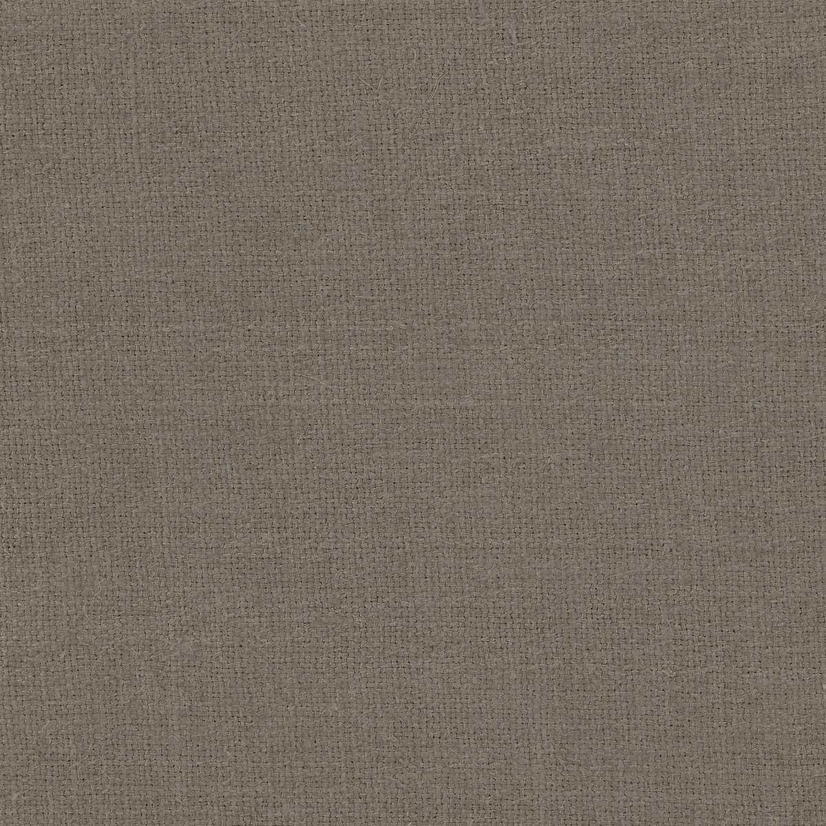 Simla Silk 31463WC-52