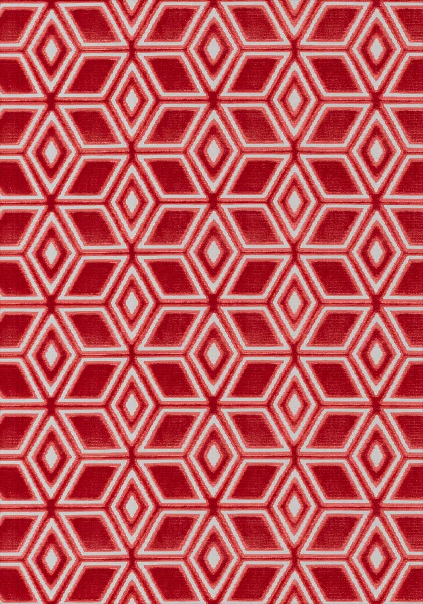 Jardin Maze Velvet AW72985