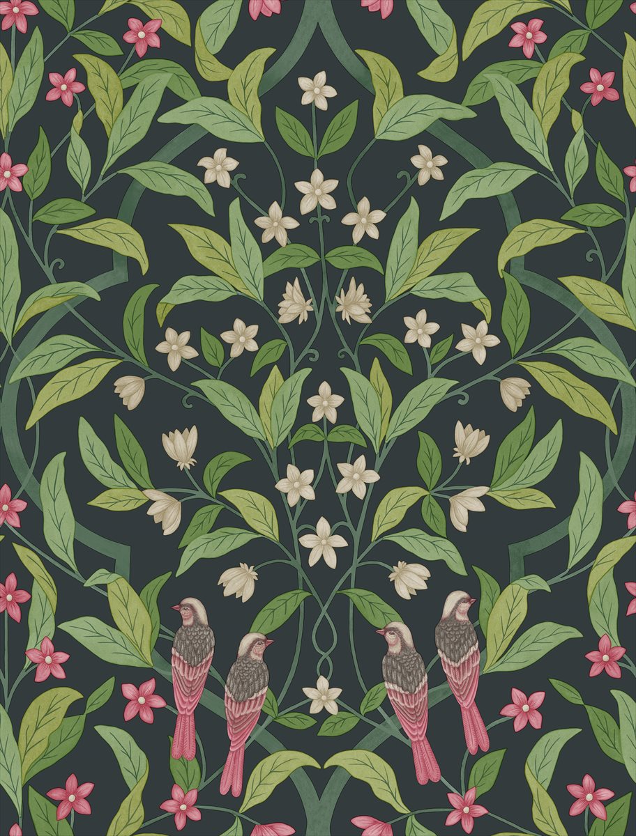 Jasmine and Serin Symphony 117-10028