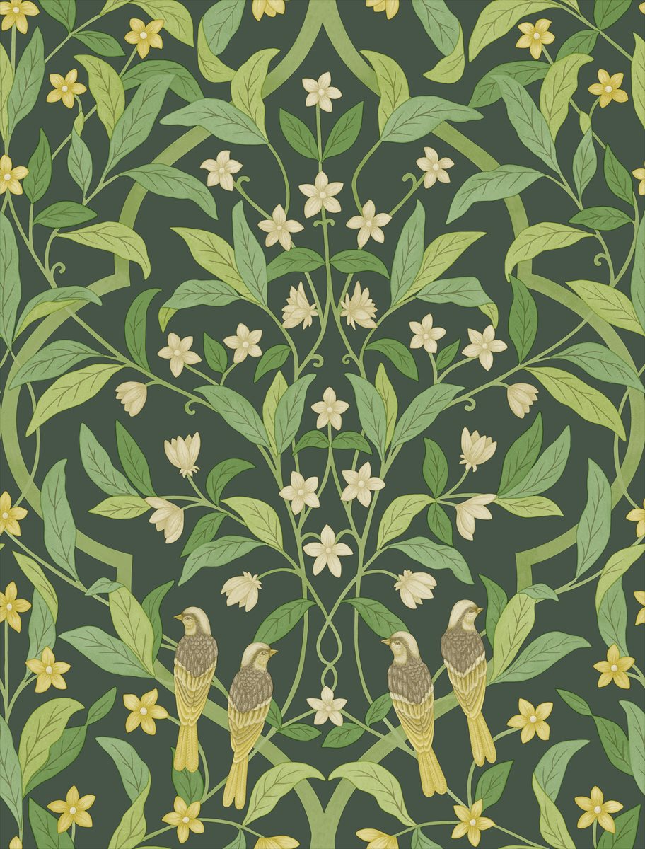Jasmine and Serin Symphony 117-10029