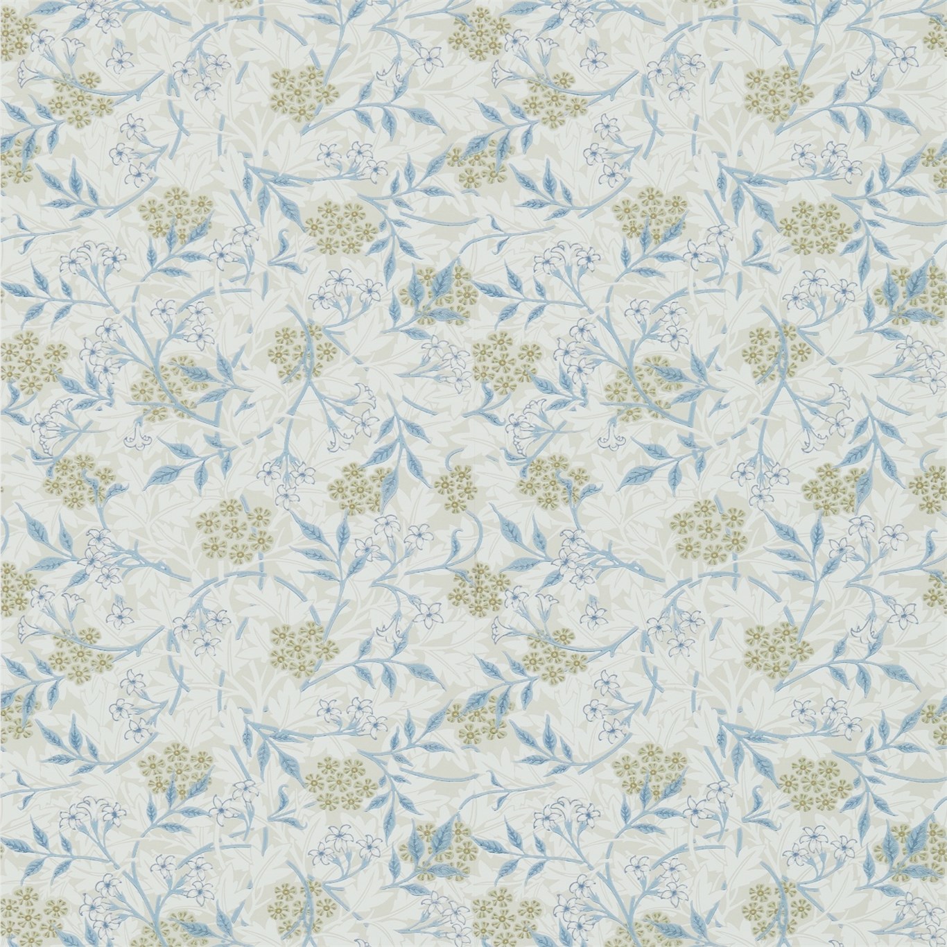 Jasmine 214724
