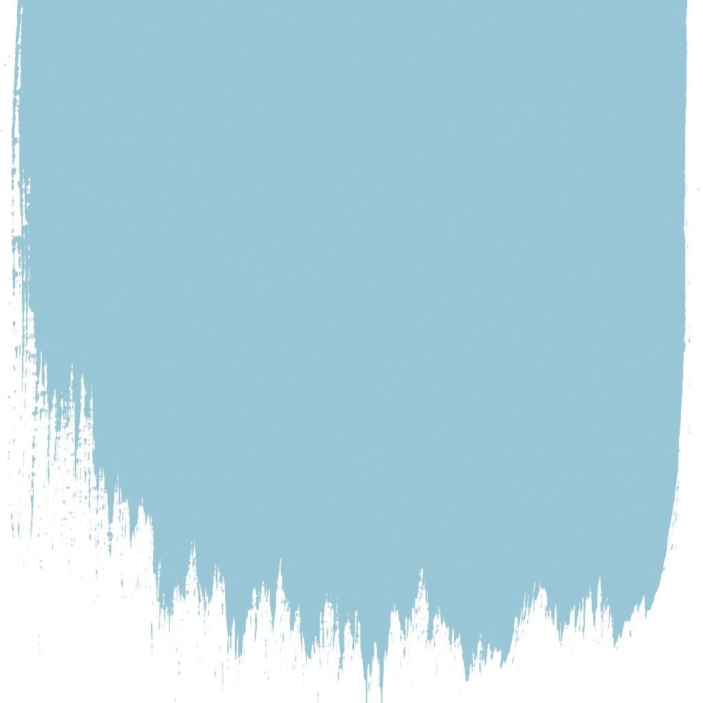 Jay's Feather No 67 Paint