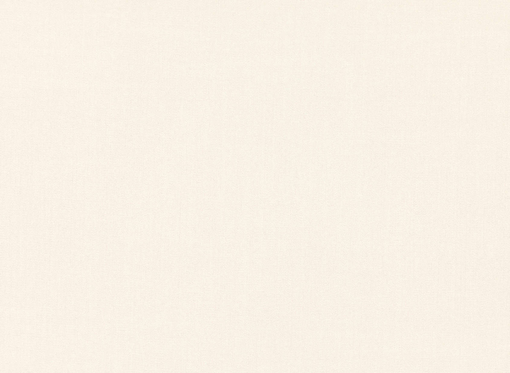 Jazz Eggshell M481-02