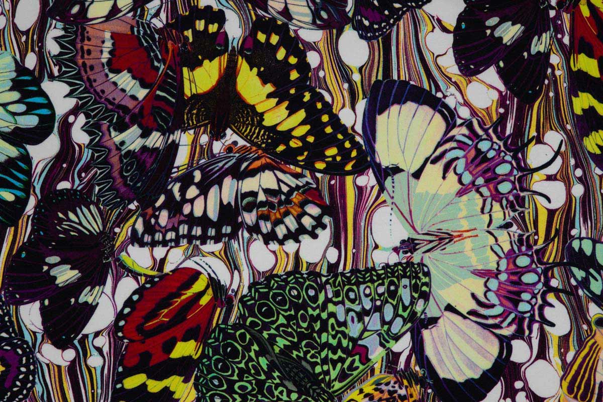 Papillons 3613-01