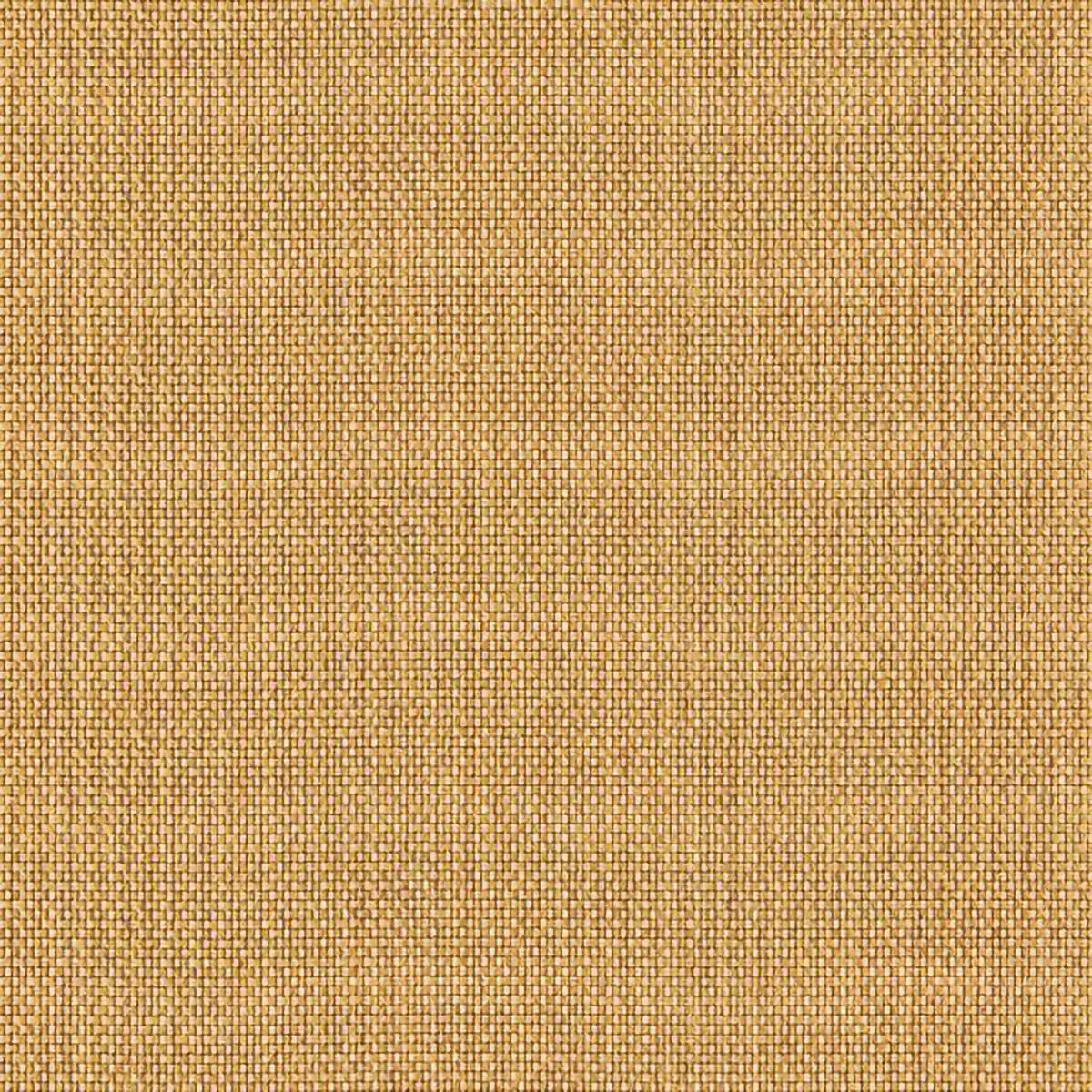 Cosmopolitan Plain Gold