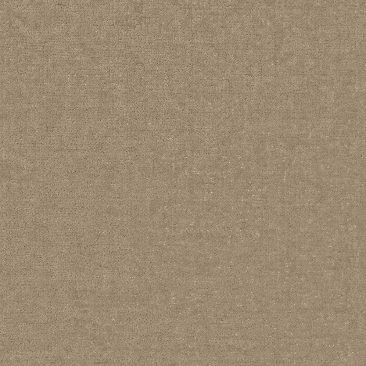 Ziva Walnut
