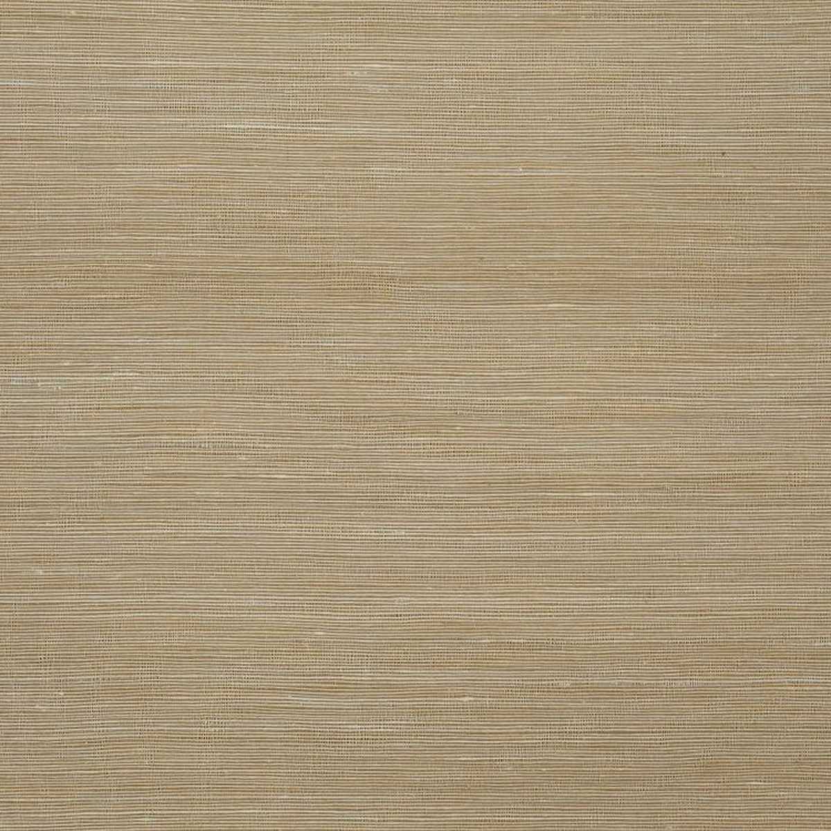 Aranya JT013929-006