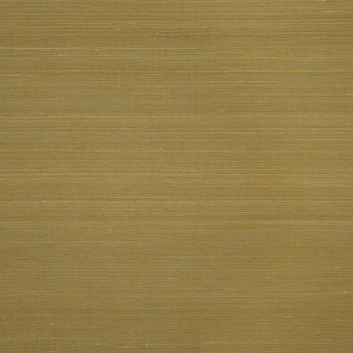 Aranya JT013929-009