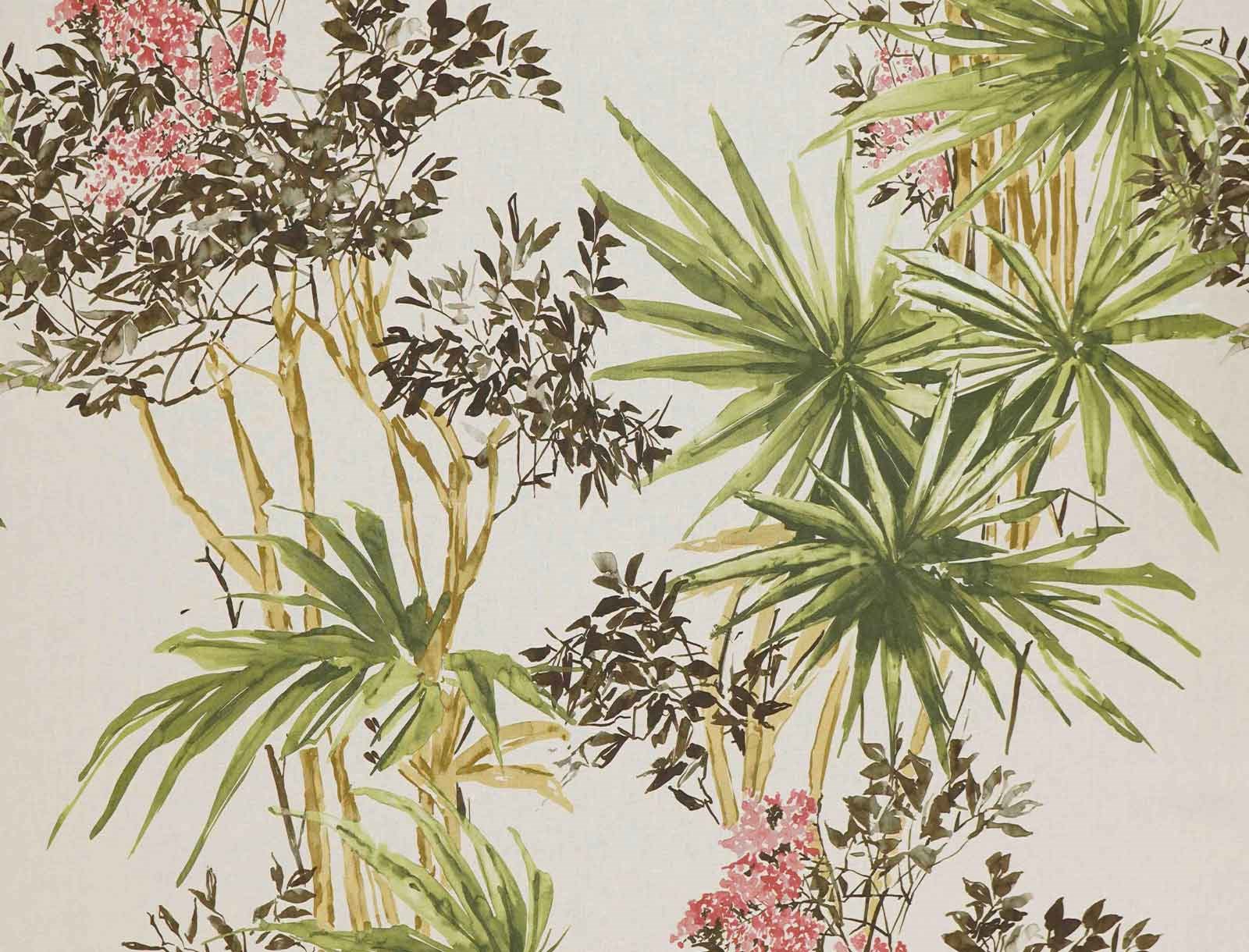 Cassia 3869-02
