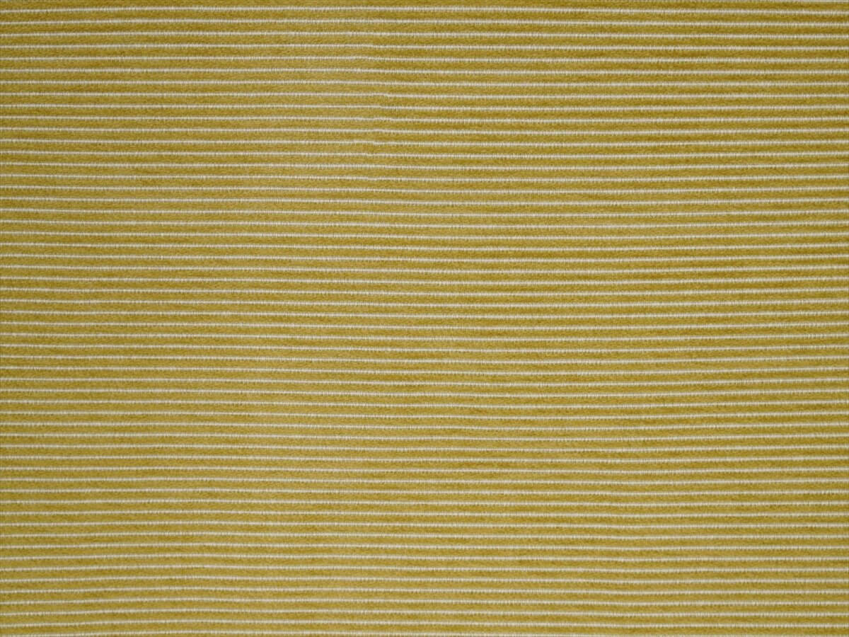 Coastline JT013907-004